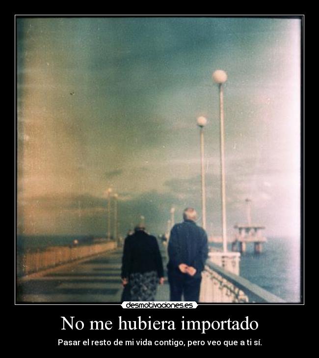 No me hubiera importado - 