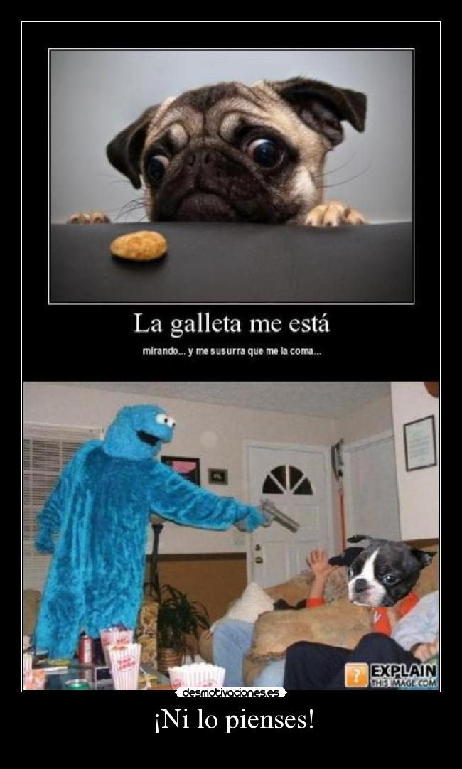 ¡Ni lo pienses! - 