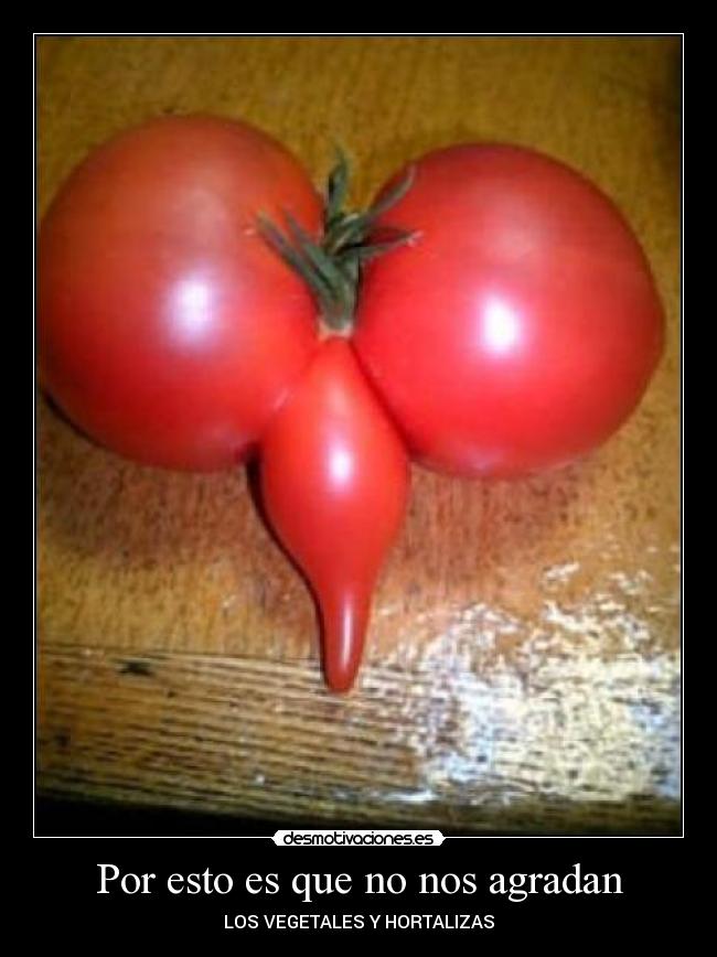Por esto es que no nos agradan - LOS VEGETALES Y HORTALIZAS