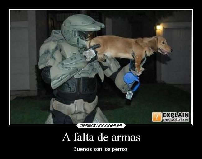 A falta de armas - Buenos son los perros