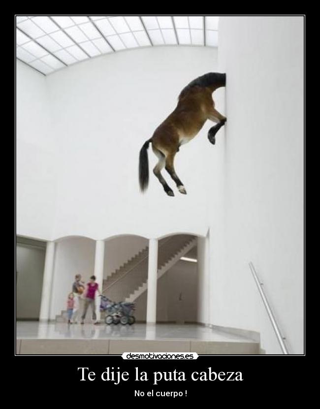 Te dije la puta cabeza - No el cuerpo !