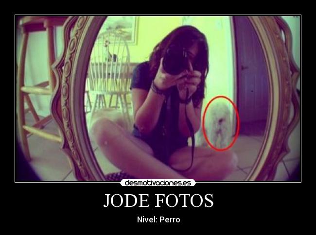 JODE FOTOS - Nivel: Perro