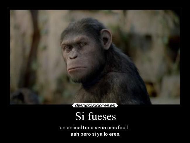 carteles fuck yeah desmotivaciones