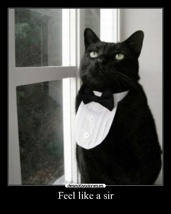 carteles ukjk desmotivaciones