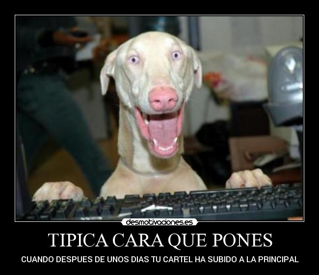 TIPICA CARA QUE PONES - 