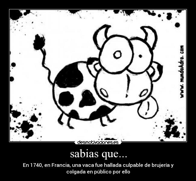 sabias que... - 