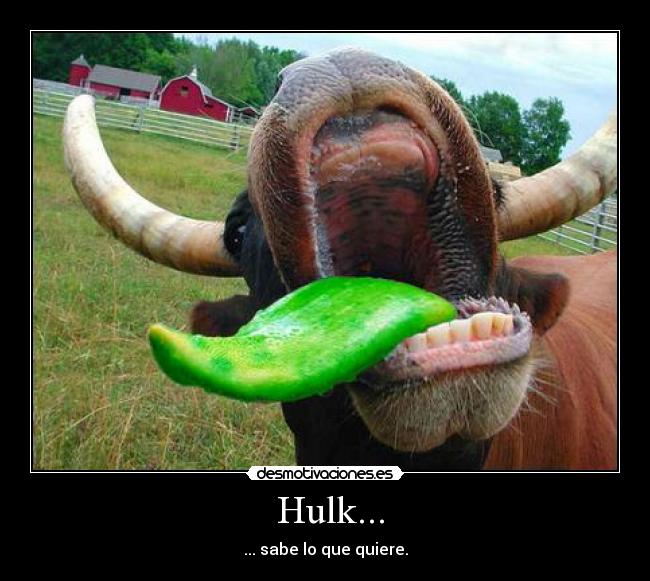 Hulk... - ... sabe lo que quiere.
