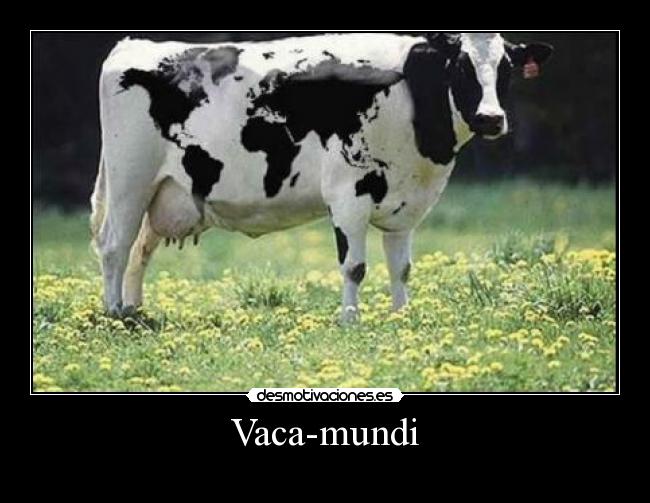 carteles vacamapa desmotivaciones