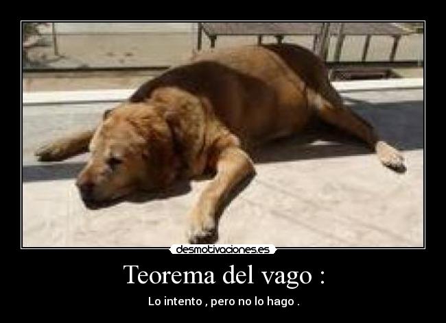 Teorema del vago : - Lo intento , pero no lo hago .