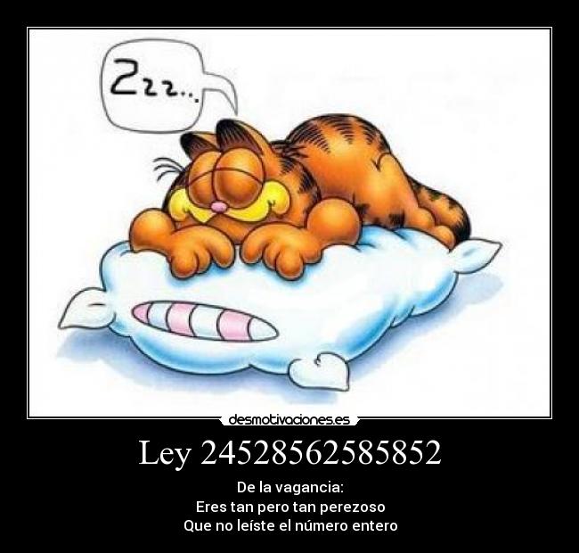 Ley 24528562585852 -