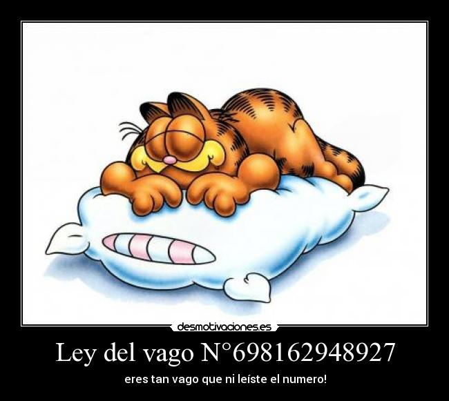Ley del vago N°698162948927 - eres tan vago que ni leíste el numero!