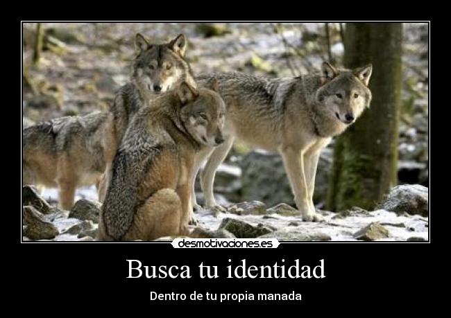 Busca tu identidad - Dentro de tu propia manada