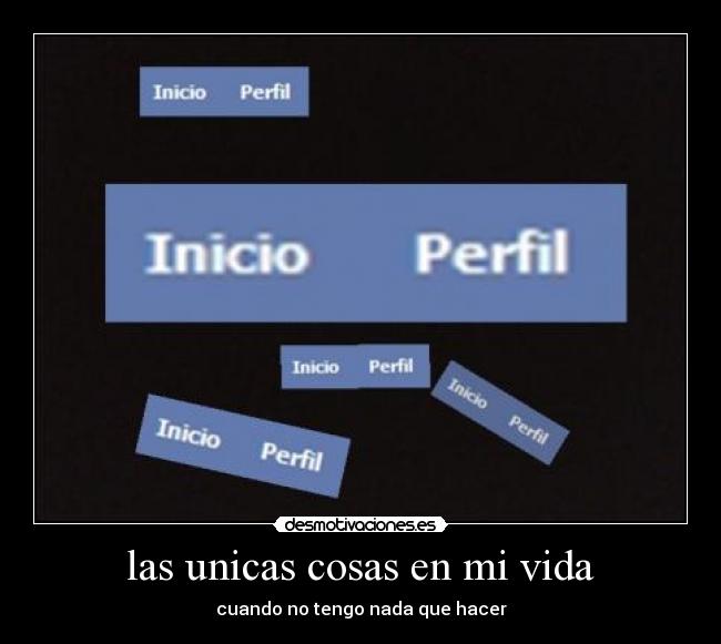 las unicas cosas en mi vida -