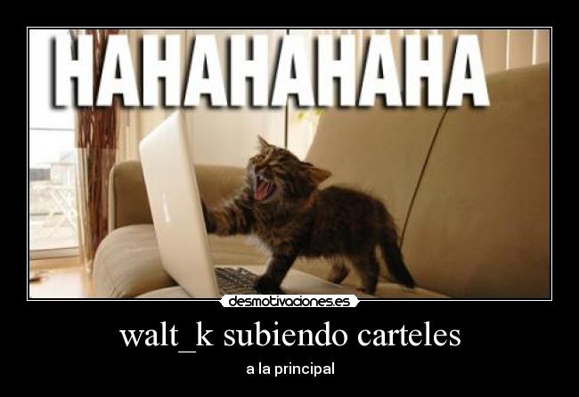 walt_k subiendo carteles -