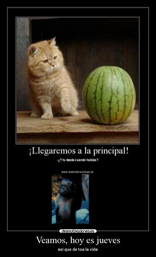 Veamos, hoy es jueves - 