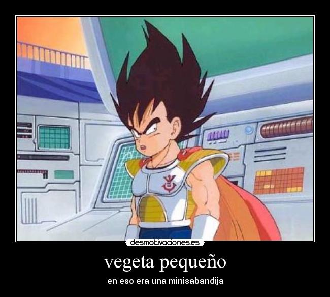 vegeta pequeño - 