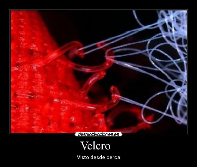 Velcro   - Visto desde cerca