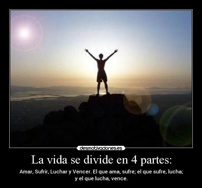 La vida se divide en 4 partes: - 