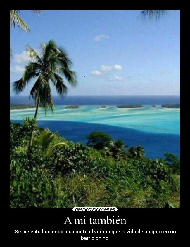 A mi también -
