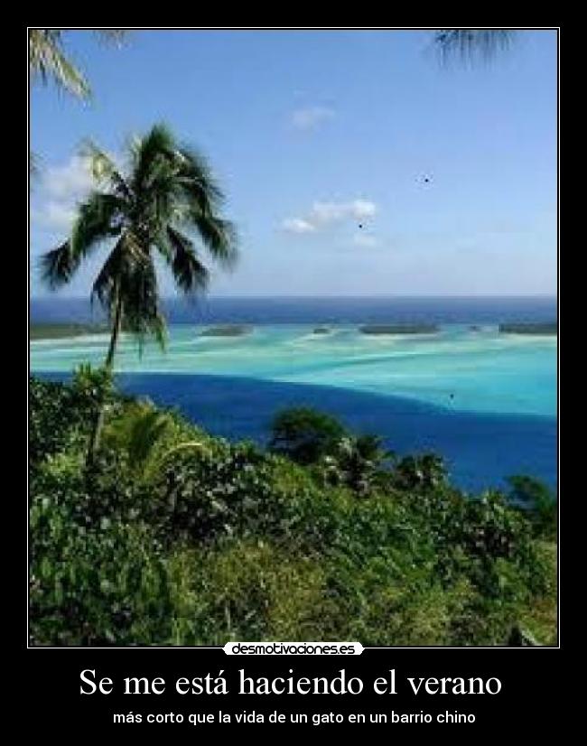 Se me está haciendo el verano - más corto que la vida de un gato en un barrio chino