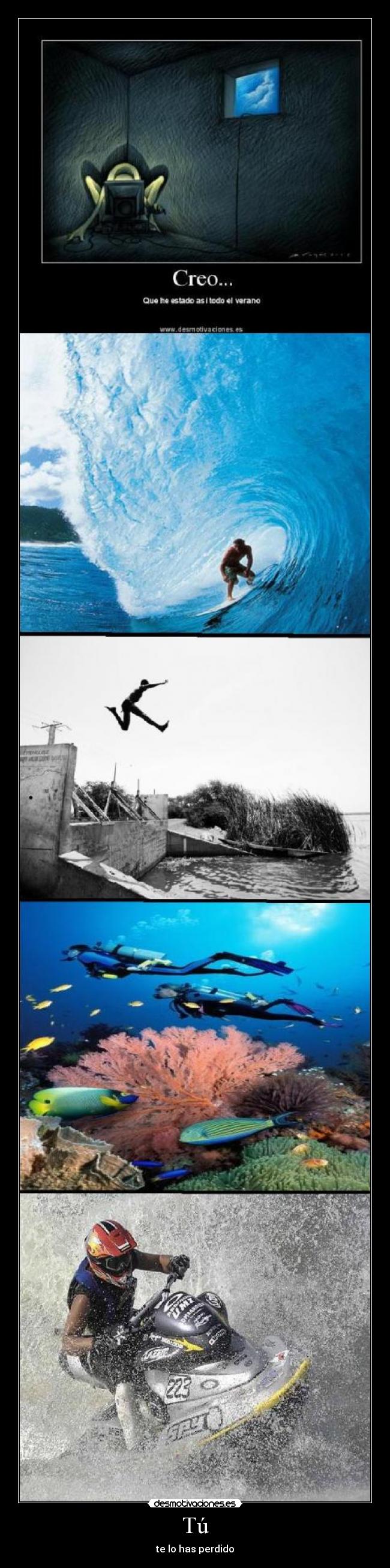 Tú - te lo has perdido