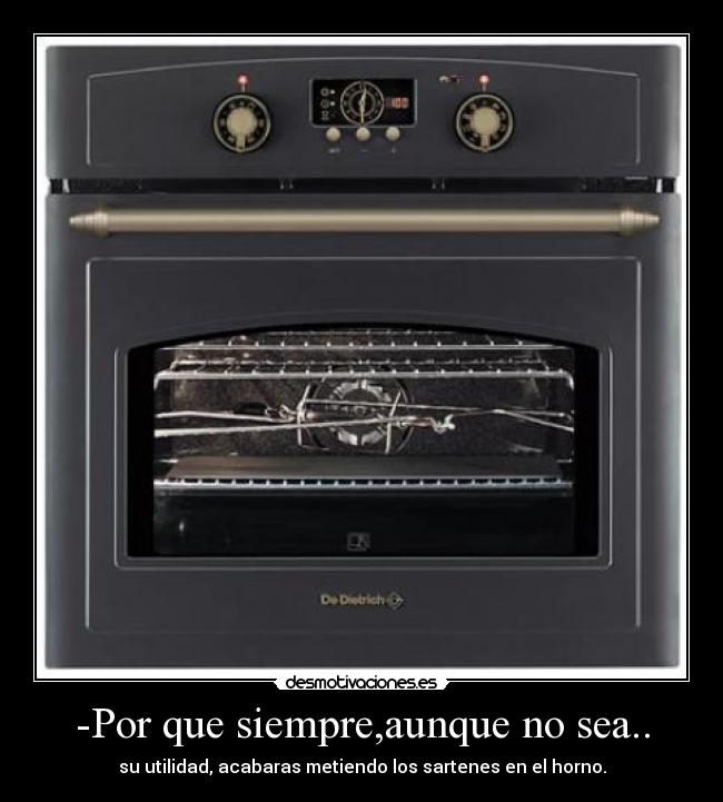 -Por que siempre,aunque no sea.. - su utilidad, acabaras metiendo los sartenes en el horno.