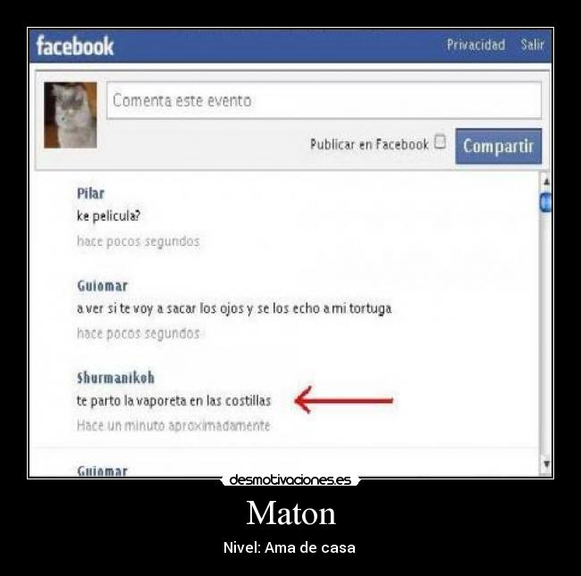 Maton - 