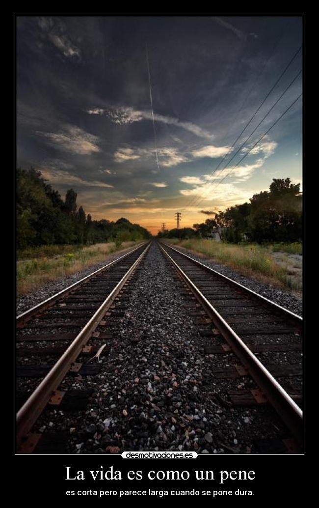 La vida es como un pene - 