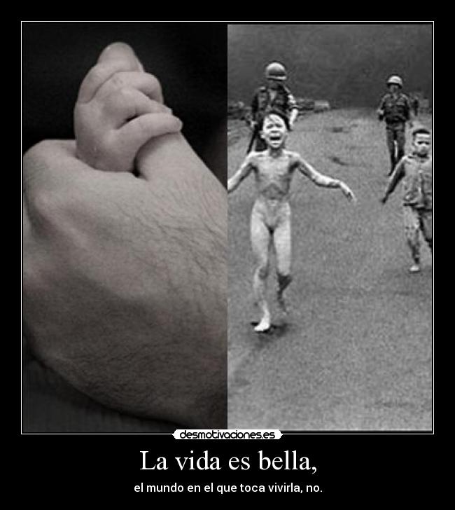 La vida es bella, - el mundo en el que toca vivirla, no.