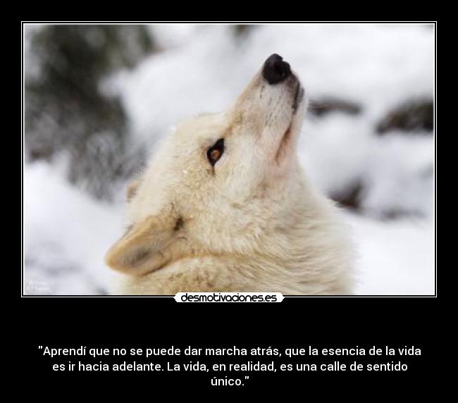 - Aprendí que no se puede dar marcha atrás, que la esencia de la vida
es ir hacia adelante. La vida, en realidad, es una calle de sentido
único.