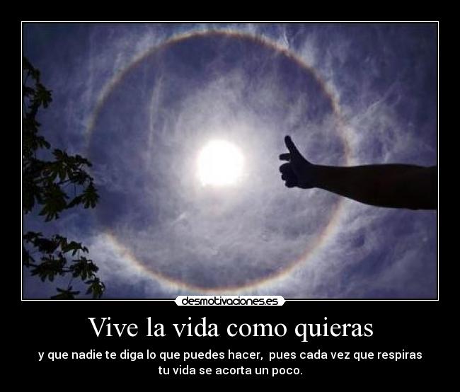 carteles vida vive desmotivaciones