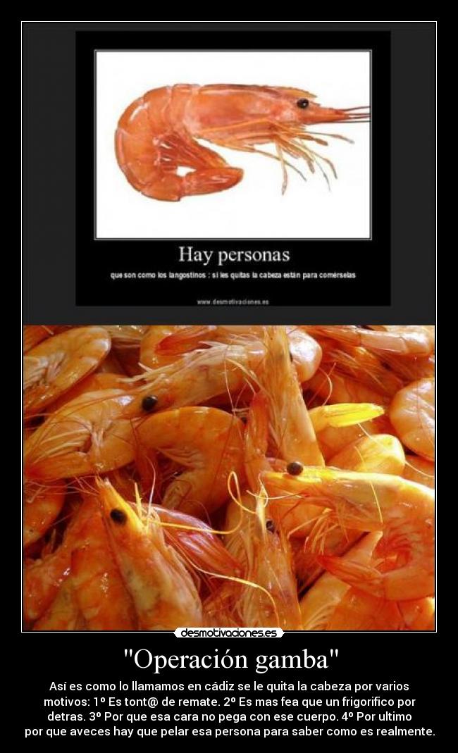 Operación gamba - Así es como lo llamamos en cádiz se le quita la cabeza por varios
motivos: 1º Es tont@ de remate. 2º Es mas fea que un frigorifico por
detras. 3º Por que esa cara no pega con ese cuerpo. 4º Por ultimo
por que aveces hay que pelar esa persona para saber como es realmente.