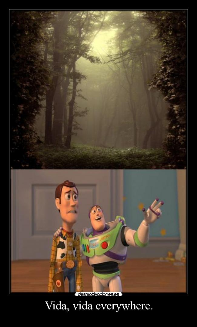 Vida, vida everywhere. -