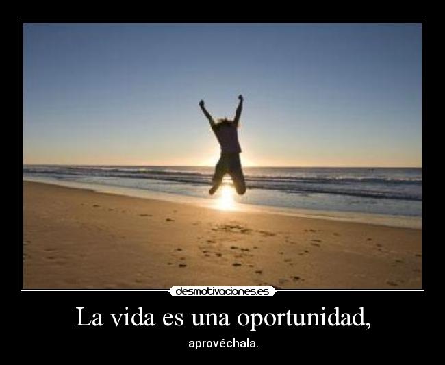 La vida es una oportunidad, -