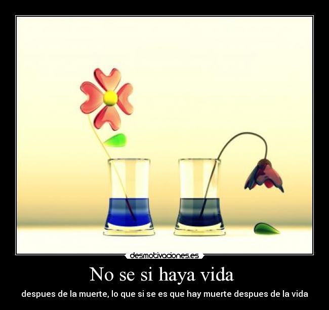 No se si haya vida -