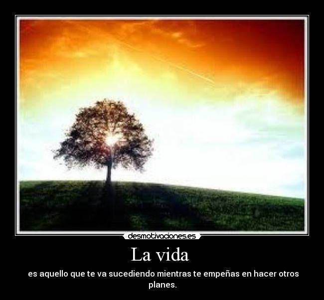 carteles vida vida loco marte arbol vasili que desocupado lees esto desmotivaciones