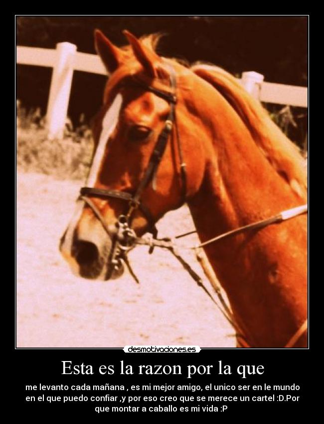 Esta es la razon por la que - 