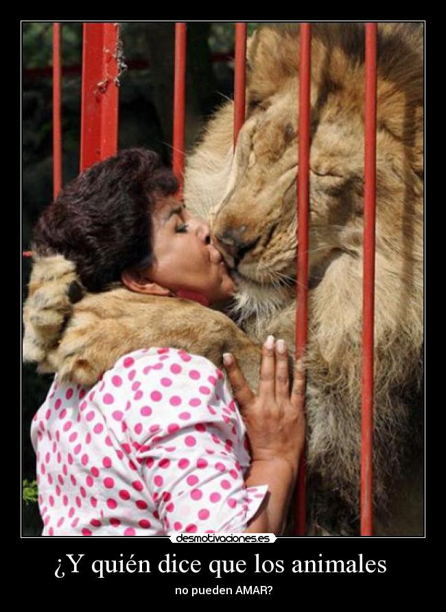 ¿Y quién dice que los animales - no pueden AMAR?