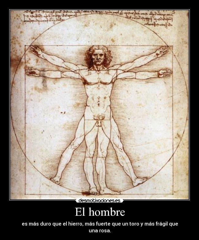 El hombre - es más duro que el hierro, más fuerte que un toro y más frágil que una rosa.