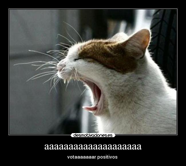 aaaaaaaaaaaaaaaaaaaa - votaaaaaaar positivos 