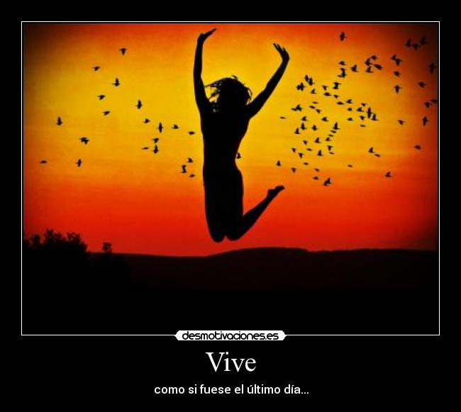 Vive -
