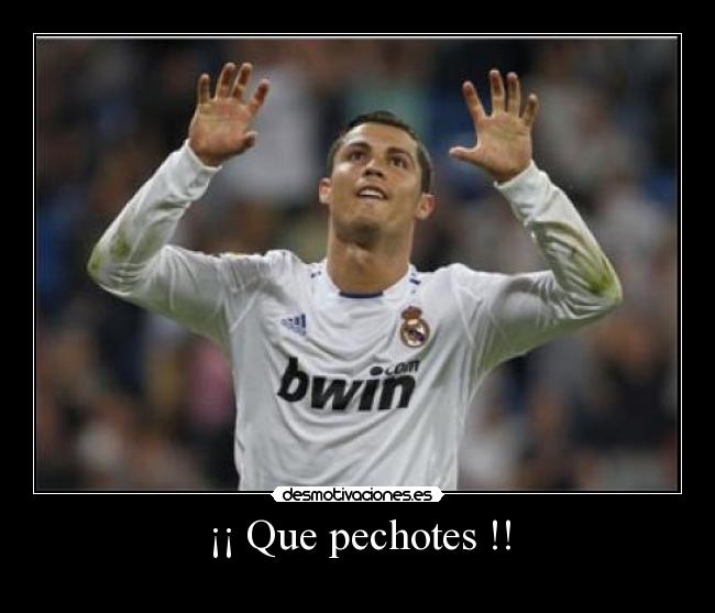 ¡¡ Que pechotes !! - 