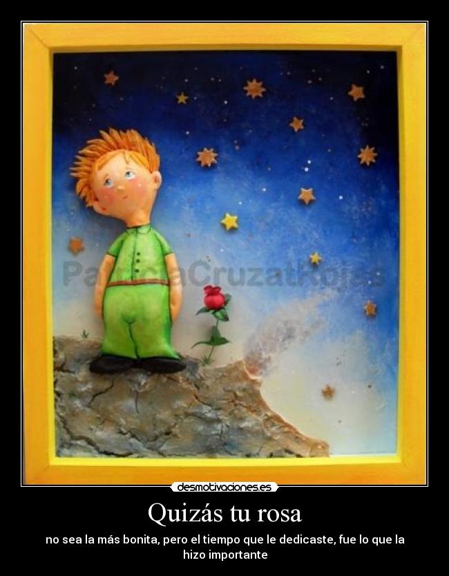Quizás tu rosa - no sea la más bonita, pero el tiempo que le dedicaste, fue lo que la hizo importante