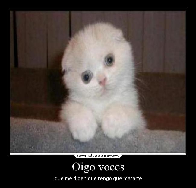 Oigo voces - 