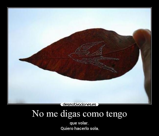 carteles volar desmotivaciones