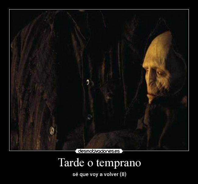 carteles caliz fuego voldemort volvera fito fitipaldis tarde temprano desmotivaciones