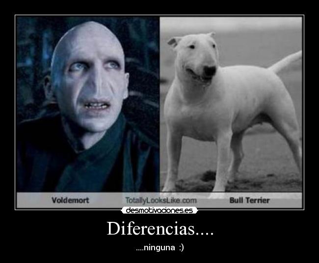 Diferencias.... -