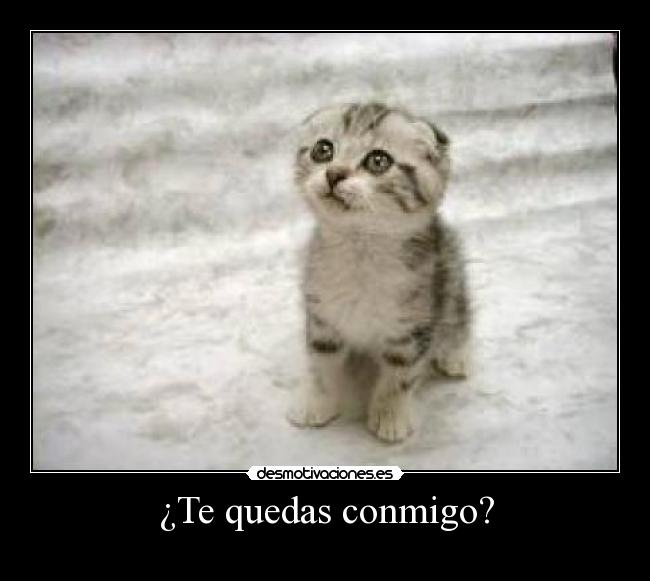 ¿Te quedas conmigo? -