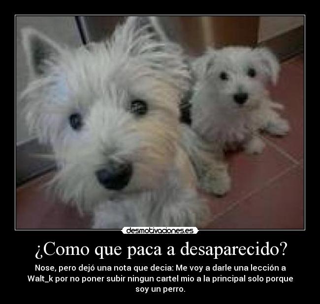 ¿Como que paca a desaparecido? - Nose, pero dejó una nota que decia: Me voy a darle una lección a
Walt_k por no poner subir ningun cartel mio a la principal solo porque
soy un perro.