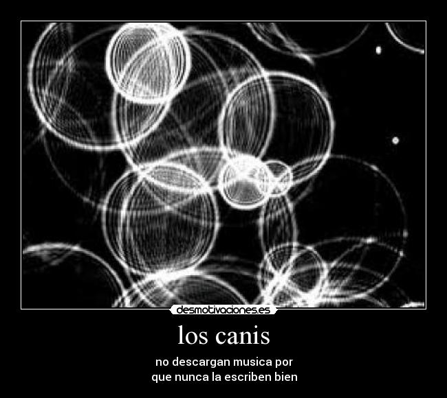 los canis - no descargan musica por
que nunca la escriben bien